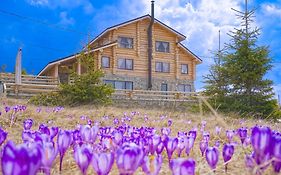 Cabana Alaska Holiday Home